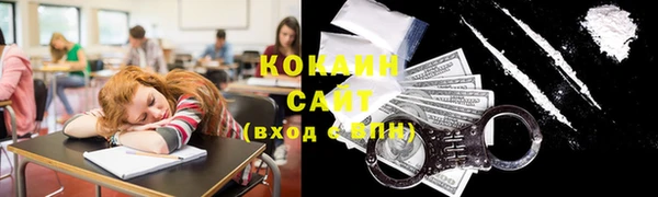индика Армянск