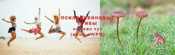 индика Армянск