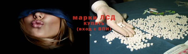 индика Армянск