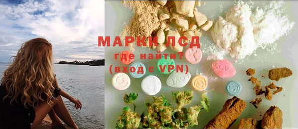 ПСИЛОЦИБИНОВЫЕ ГРИБЫ Аркадак