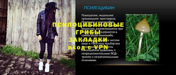 индика Армянск