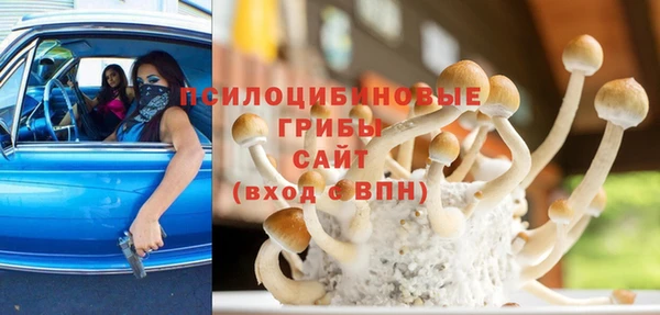 индика Армянск