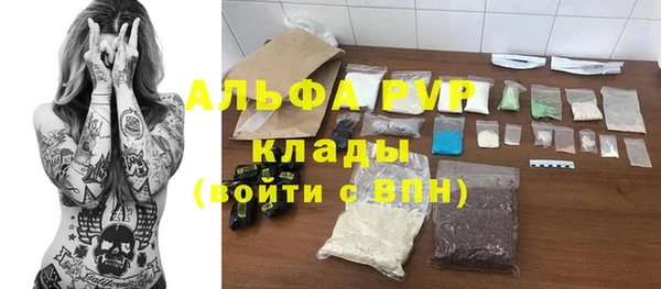 индика Армянск